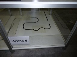 P1010322